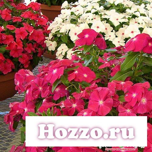 ��������� ����� ����� �� ��10    ������� ����: 65 �