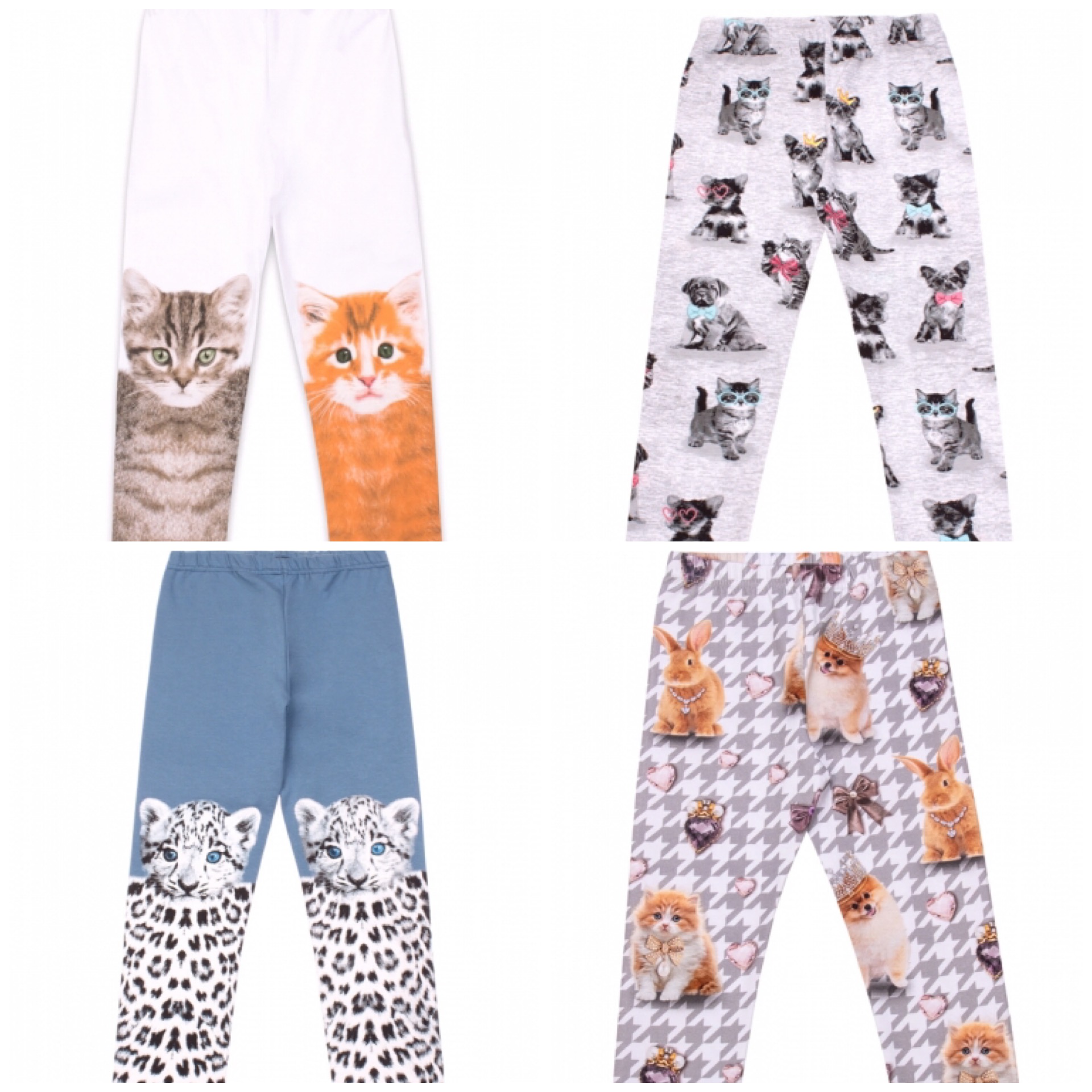 ������� ��� ������� �� ����� ����� �� �� ������ . 