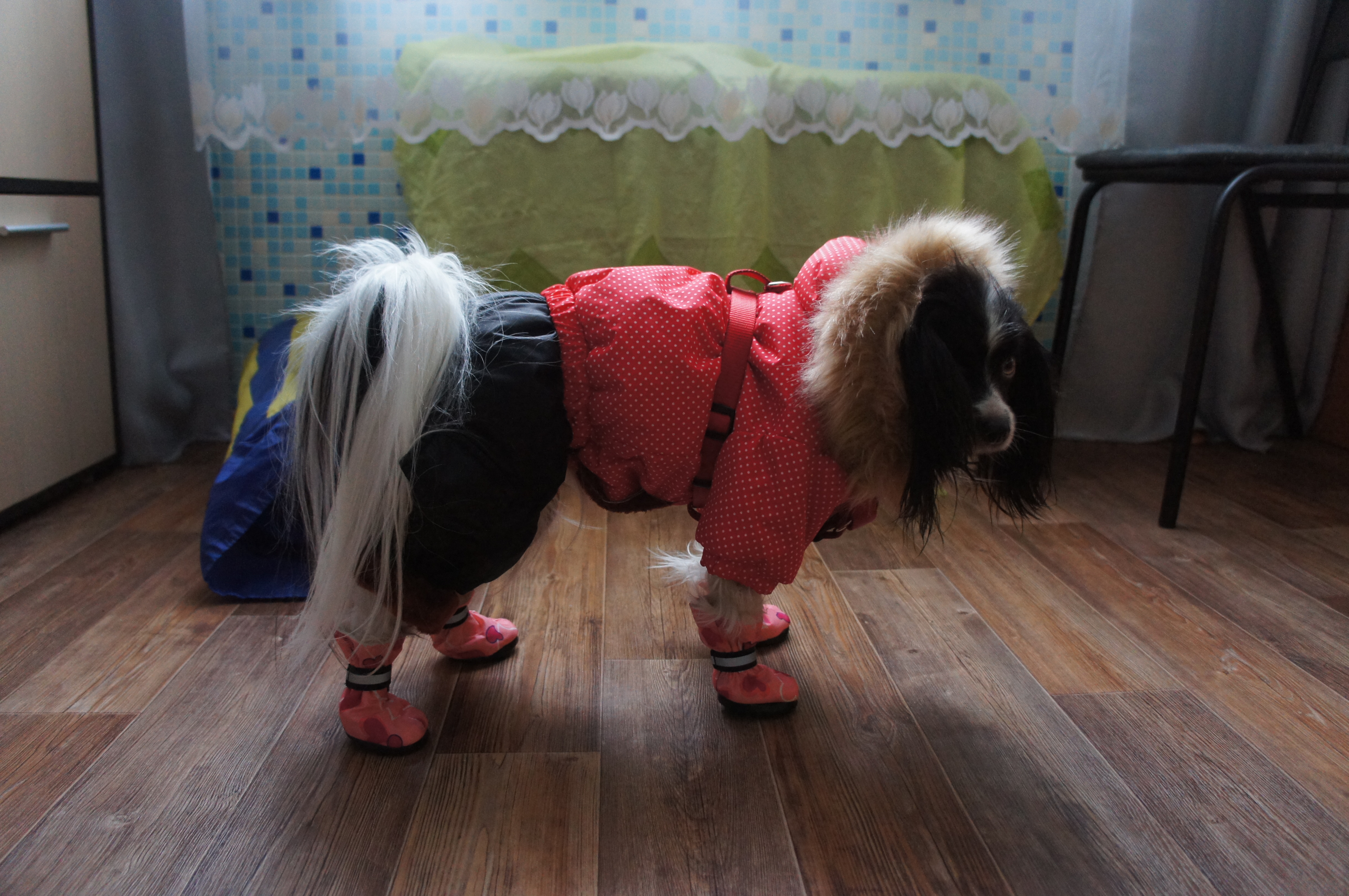 ������ � ���� � �������. ��������� ������ 21 ����