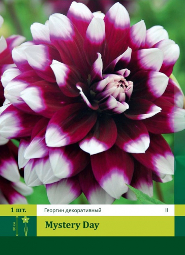 ���������� ����� � ������������/