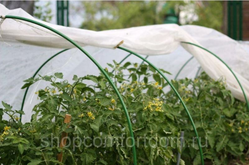 � ��� ������ ����.���� ���������� (�������� �� 6 ���) 4 �-45 ���,3 �-355 ���,2,5 �-295 ���