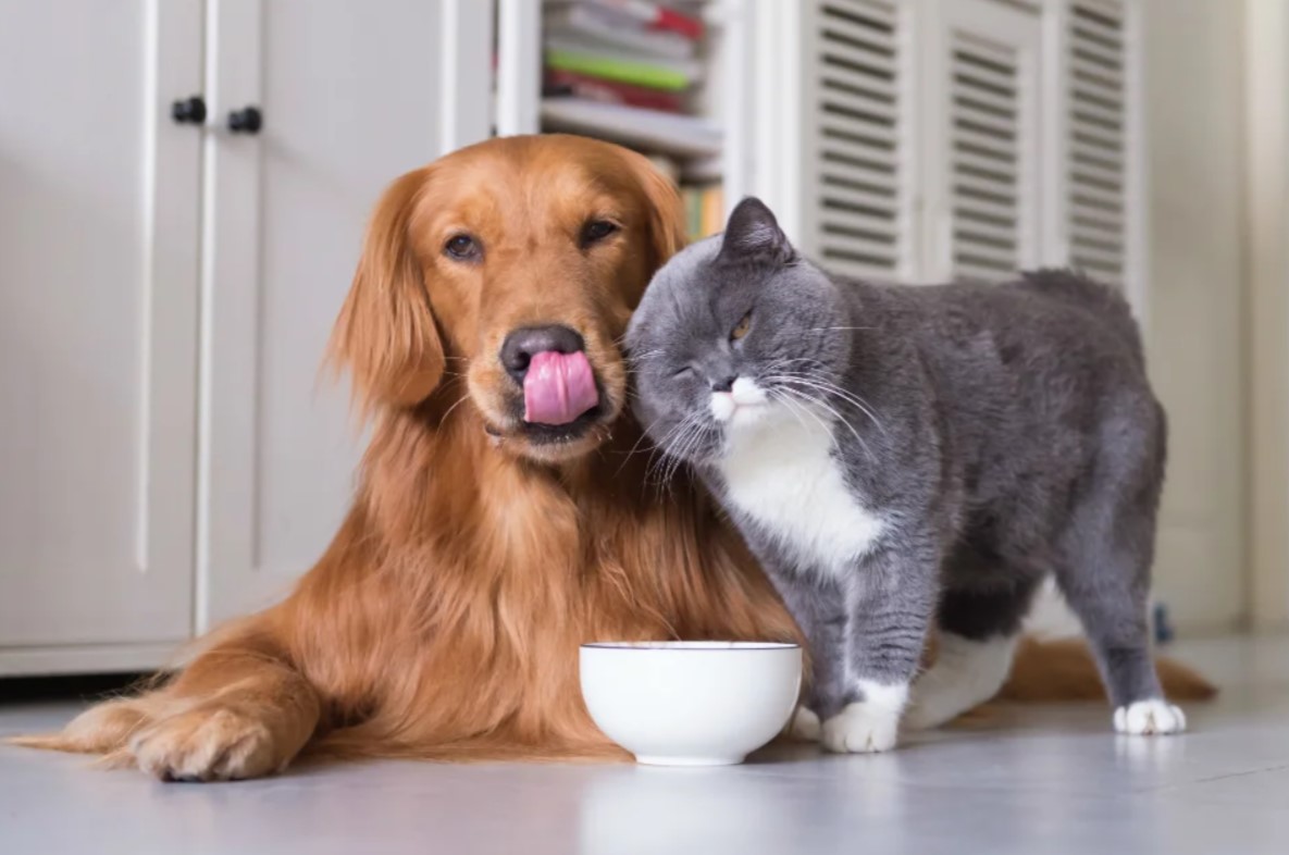 ���� �� 7.02.���������������.���� ��� ����� � ����� ����� ������� ������ �� ��������� ����.���������������� � ����������������� ������,������� ���������� � ������������,��� ������������.����� ������������� ����:��30% ������,��� � ��������� �������!