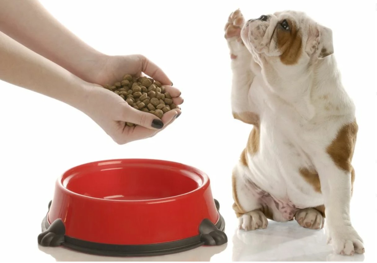 ���� �� 7.02.���������������.���� ��� ����� � ����� ����� ������� ������ �� ��������� ����.���������������� � ����������������� ������,������� ���������� � ������������,��� ������������.����� ������������� ����:��30% ������,��� � ��������� �������!