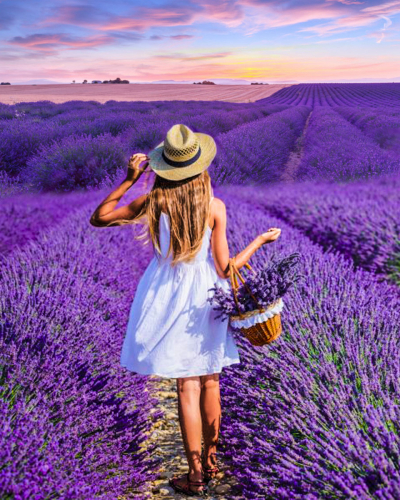 �������� ����� - ����� ������������� ������� ��� ���� �����. ����������! ������� ���� � �������� �������������!