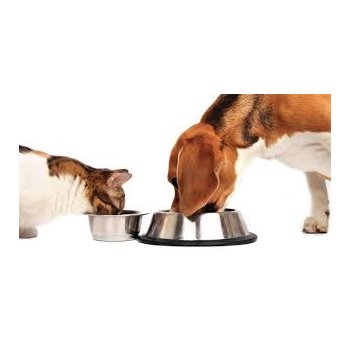 [b]���� �������. ��������� . �������� ����� ������� ��� ����� � ����� . ����� 6[/b]