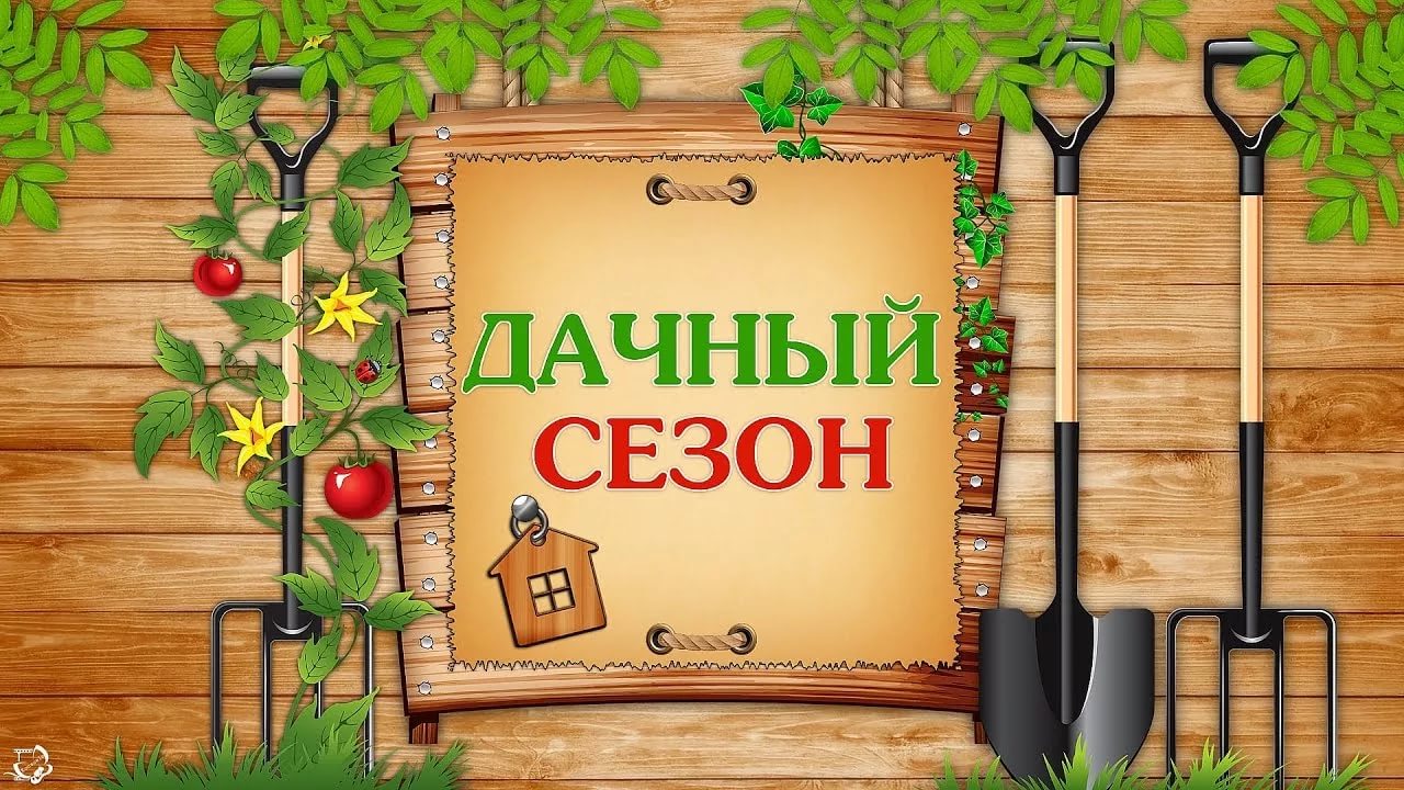 ��� ��������! �ӣ ��� ������� � �������� ��������! ���������, ���������, ���������, �������� ��������, ����. ��������, ��������� �����, ������, ��������� �������, �����, ����� � ��. ����� 110.