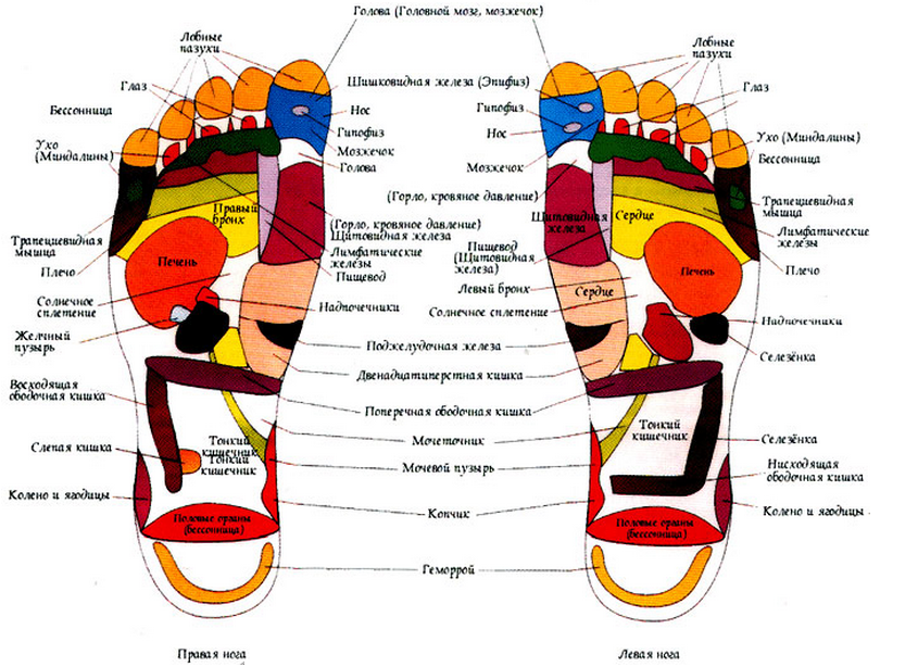 ���� �� 20.02. ������������ ��������� �������, ������ � ������� ��� ������ ��������. �������� ���� ��� ��������� ������� ������� � ������. �������������, ����������, ������������. ��� ����� � ��������. ����� 13