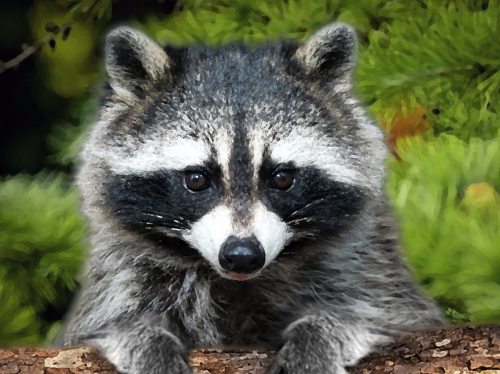 �������������� ���� ����� ����� ��������, ���� �� �������� ��� � �������� ���������� � �������� �����!