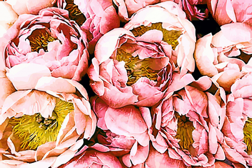 ������������ �����! ������ ���������� �������! 