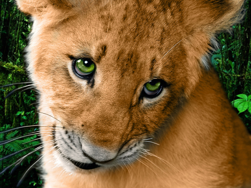 �������, ����� ������� ���������� �����, � ���� �������� ������ - ������ �������