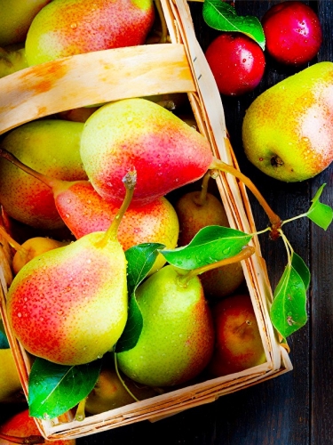 ������� ������� ��� ����� �����