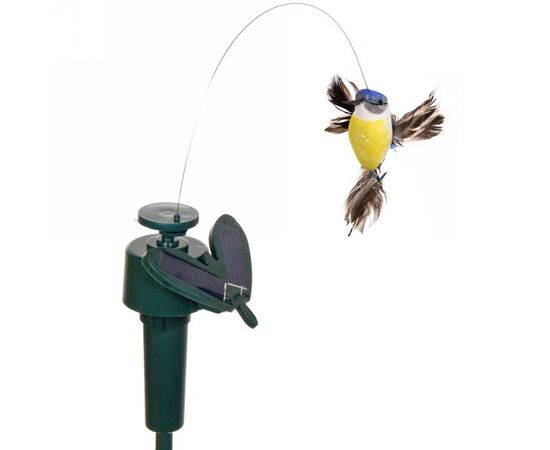 ���� ������� �� 7.02. ������� ����� - ��������, ������, ���������, ������� ���������. ����� 1 