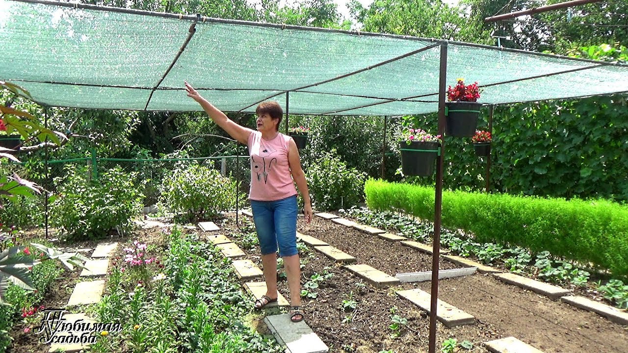 ��������� ��� ������� ����� �� ������� � ��������� ��������. ���������� � �������������� �����, �������� ����� � ����� �� ����. �����.