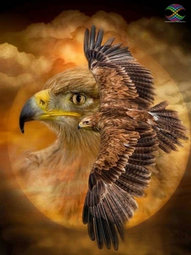 ����� �� ��� �����... �� ������ ��������� ����� �� �������� ���!