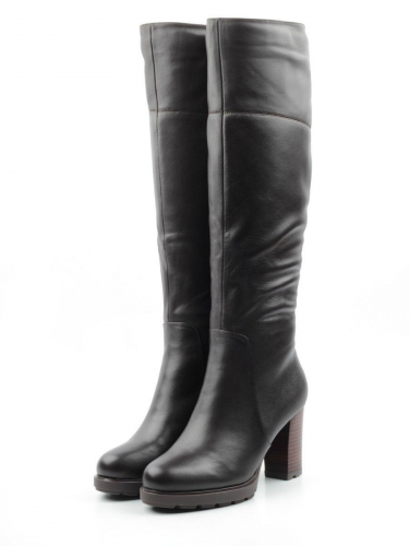 ���� �� 09.02. ���������� ������� � ������� ����� ��� �����! ������ Paolo Conte, Geronea, Libellen, Sandra Valeri. ����� ����������� ����-24!