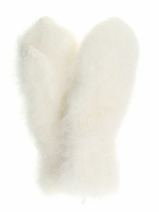 ���� �� 15 �������.������ ������� ,������, ������ , �������, ��������, �� ������� ������.���� 1-21.