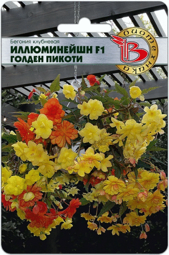 ���� �� 15.02. ������ �� �������� ����������. ������ � ����� � �������� ��������� ��� �������. 6/2021