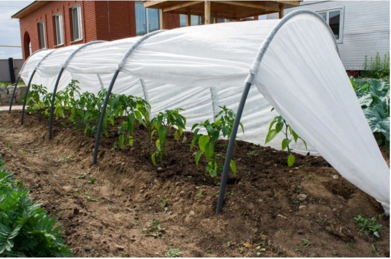 ������� ����!��� ���������? ���� ���������� 4 �, (6 ��.) Ø 10 � 0,5 �� ���� 475 ���, ���� � ������ �������