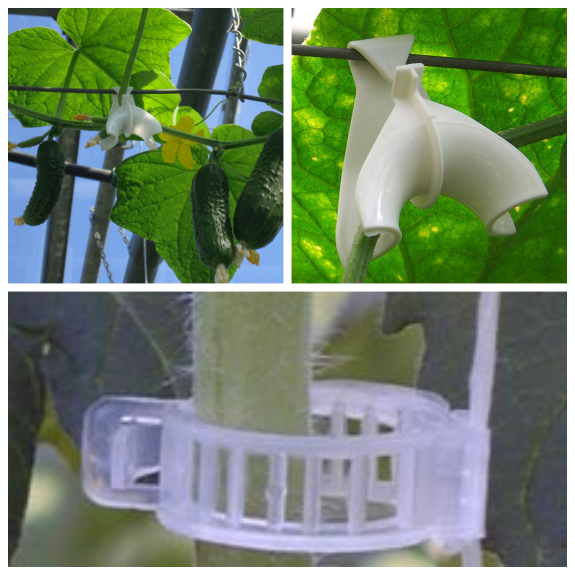 ��������� ��� �������� ������� � ���������