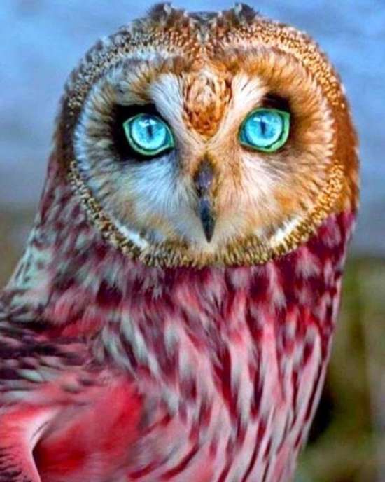 ���������� ���� ����������.����� 1000 ����� ������� ������ �� ������� �� ���� �� 300 ���.�������� ������� � �������� ����� � ������������.����� 111 