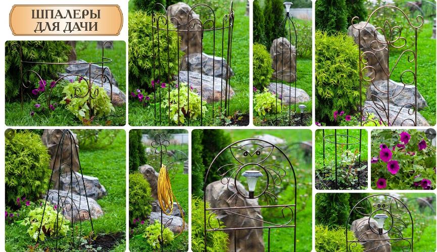 ������ - ������� ��� ����, �� ������� ����������� ���! ������� ������, �����, �������, ������� - �ӣ, ��� ���� ������! % ���� ����� % !