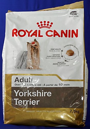 ���� ��� �����. ���� 19.02.2021