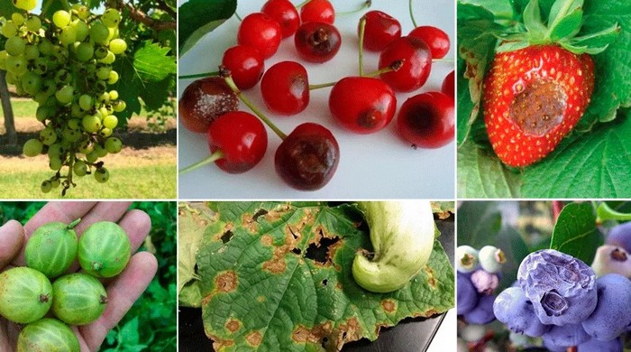 ���� �� 28.02 ������ ������ ��� ��������! ���������������� �������� ������ �������� �� ���������� � �������� �� ������� �������� ��������������. ����� 1/21