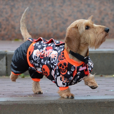 ���� �� 17.02. ����� ������� ������, ����� � ���������� ��� �����. Fo*r M*y Do*gs.  ��� ����� �������� - ������ ������. ���� ����������!