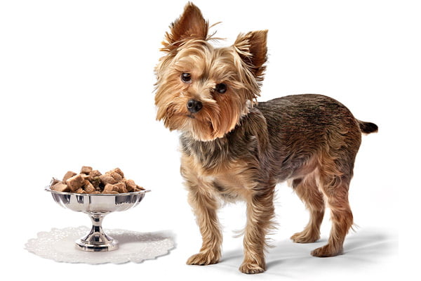 ���� 26.02.���������������.���� ��� ����� � ����� ����� ������� ������ �� ��������� ����.���������������� � ����������������� ������,������� ���������� � ������������,��� ������������.����� ������������� ����:��30% ������,��� � ��������� �������!-2