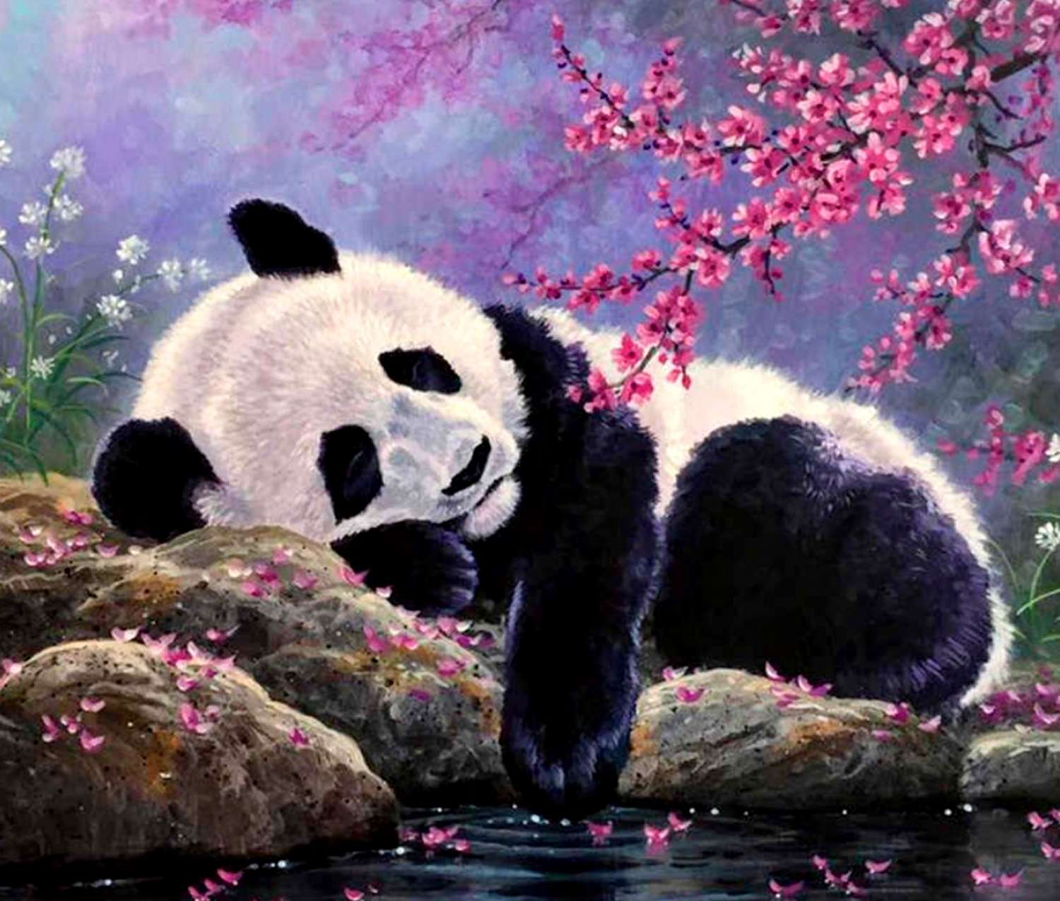 ���������� ���� ����������.����� 1000 ����� ������� ������ �� ������� �� ���� �� 300 ���.�������� ������� � �������� ����� � ������������.����� 111 