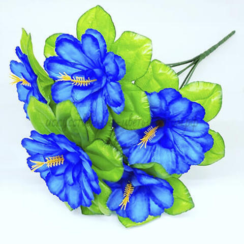 ����� � ���� ���� 2 ���. �������� ���������� �������������� �������