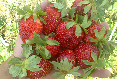 ����� �������! ���������� �������� �� �������� ��������� ������������� �������. ��������� ������� �� ������������� �� �����*������� ���������� ���������. � ������ ������� �� ������� - �������� �����! �������� ����!