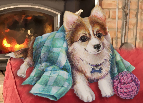 �������� ������� �� �������! ����� ����� �������� ���� ���أ�? ������ ����� - ��� �������