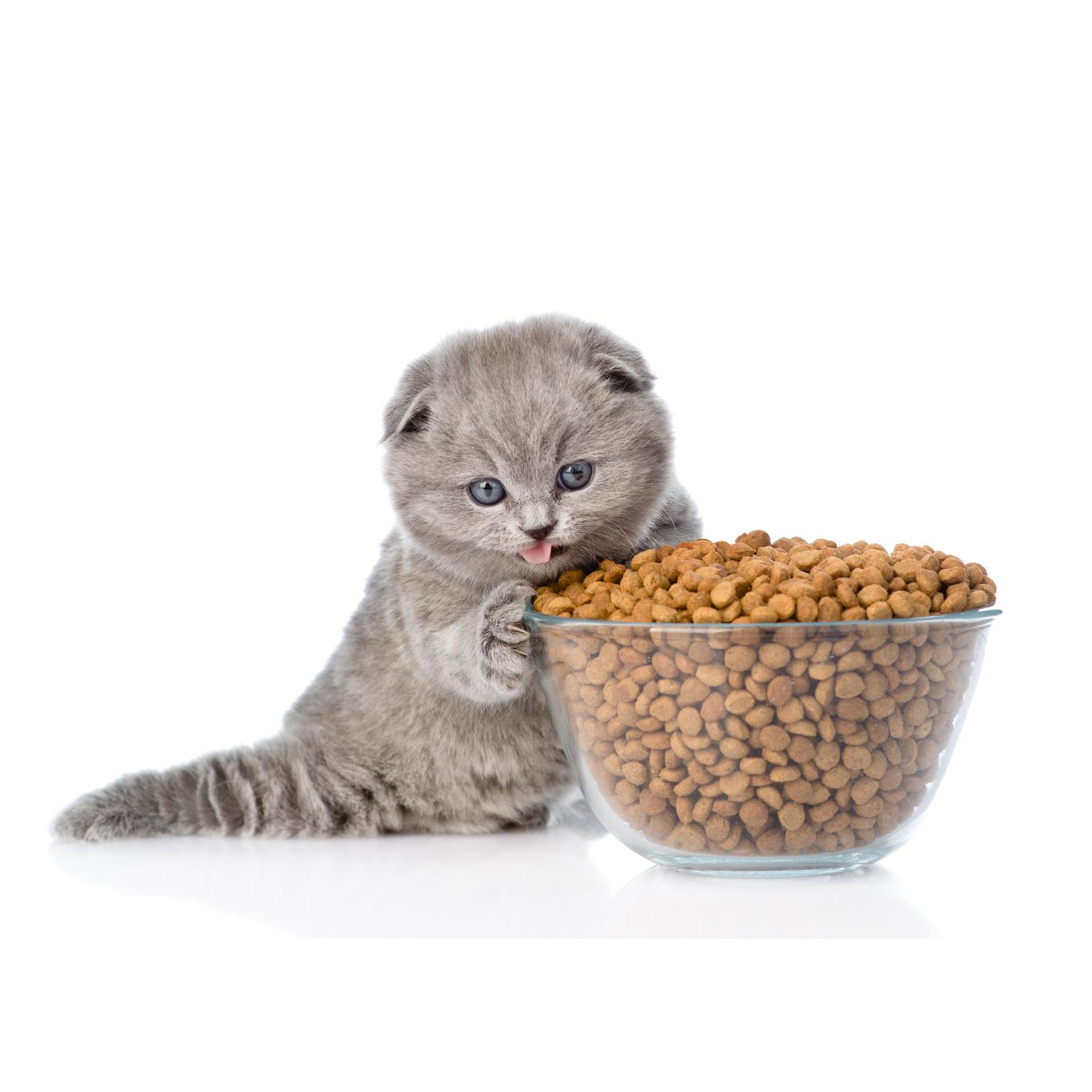 ���� ��� �����.  ���� 12.03.2021