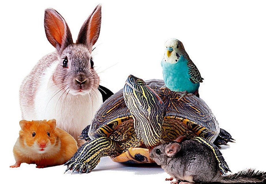 ������ ��� �������� � ����. � ����� ������� ��������������. ���� 12.03.2021