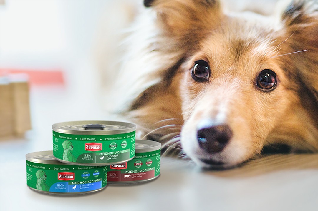 ���� ��� �����. �������� �����������. ���� 12.03.2021