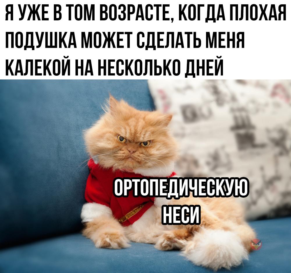 ���� �������. OrtoCorrect. ������������� ������� � �������� ������ ��� �������� ��� � ���������� ������. ������� ��� �����������, ������, ���� ��� ���, ������� (������������) ��� ��������� ��������-��������� �������. �.4
