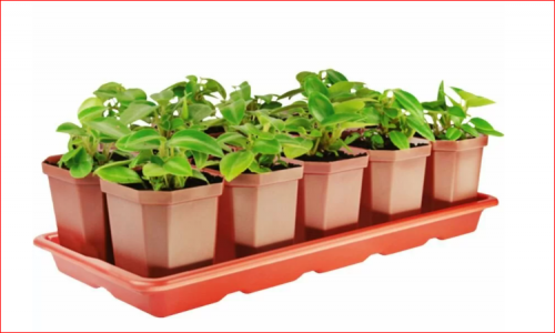  ��� � �������. ���� �� 09.03. ������ ������� ������ 31. ������ ����� �� 90% �� ����. ������� ��������� � �������� ��� ������ ��������. ������� ����� �����. �����������. �������� �������� � �������� � ����� ��� ��������� �������. ������� ������