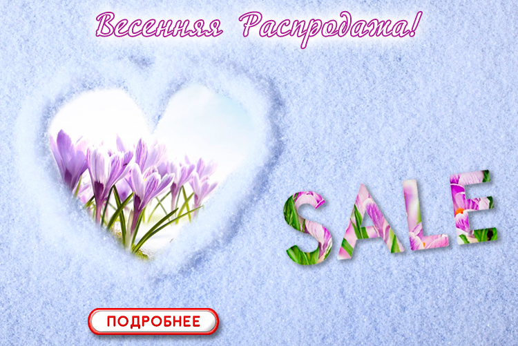 [b]���� �������. ����� ������������ � �������� ������� ������ �� ������. ������� �������� ���������� - ������ �� 70%. ��������[/b]