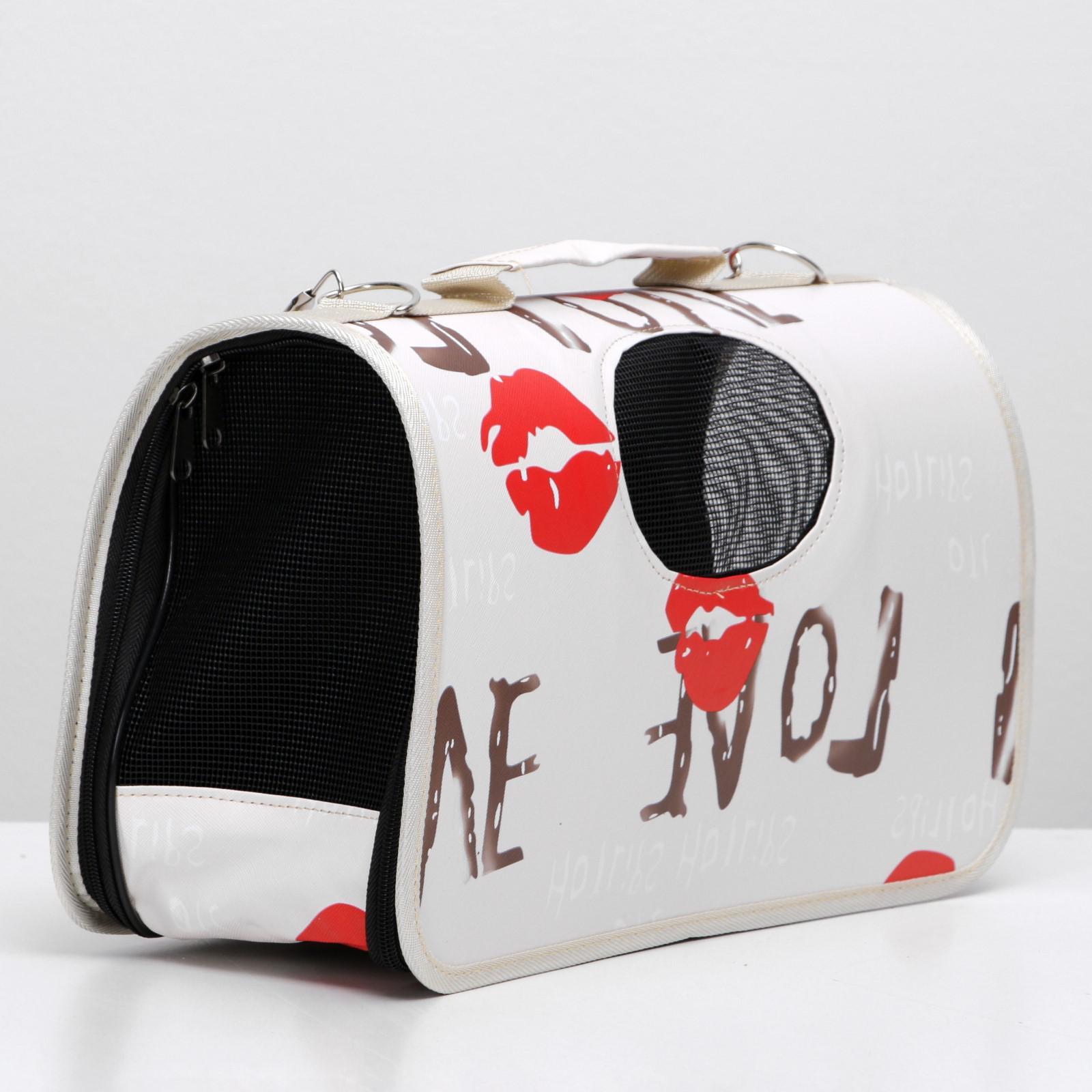 ���� �������. � ������� � ����� �������� - 6. ���������. ���������, �����������, ����������, ������, ������������, ���������, �������������, ������ ��� �������������������� �������� � ������ ������