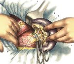 ��������������������� ������