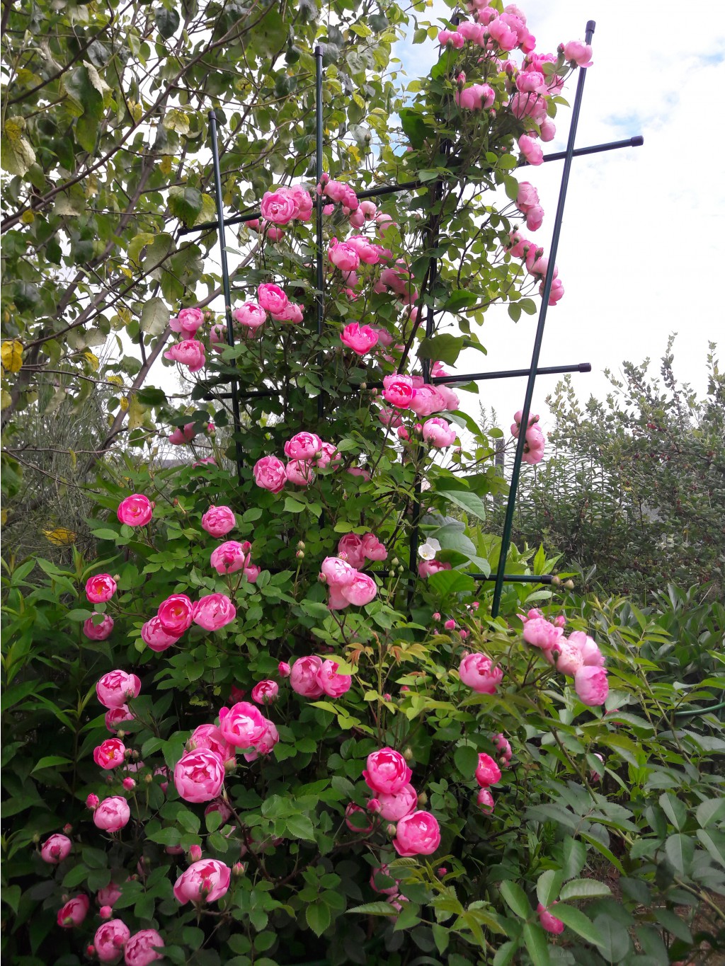 � ���������� ������ ������� ������, ��������� ������� � ������� ������� ������������ ���� � ��������� ��� ����� � ���� ��������!����, �������, ��������������, ����� ��� �������� �������� - �ӣ ��� �� ���ģ�� � ����� �����!