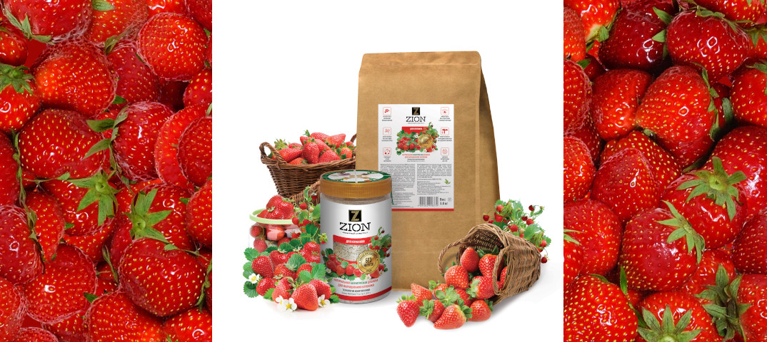 ����������� Z*I*O*N - ����� ������ � ����������� ��������!