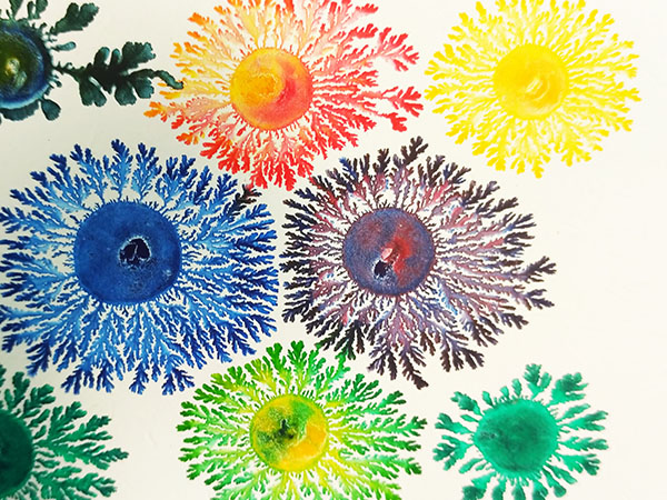 ����������� ������ - ���  ������, ������� ���� ������ �������.