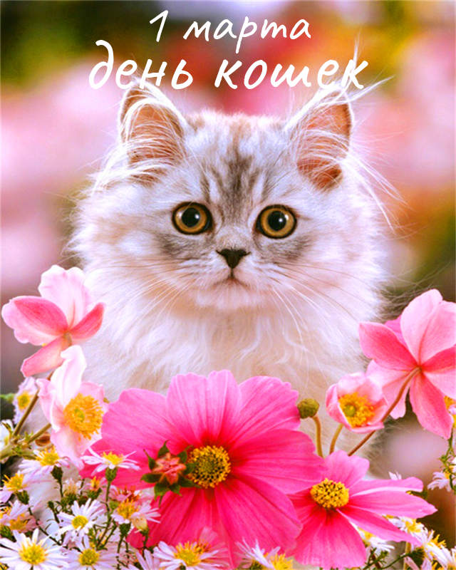 � ����������!