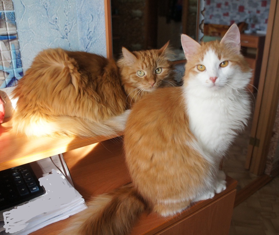 1 ����� 21 ���. �����-������ � �����-2