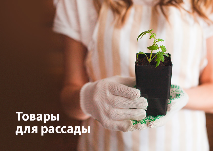 ���� �� 13.03. ������� ��������! ��� � ����� �����: ������ ��� �������, �����, ������, ���������, ������-5