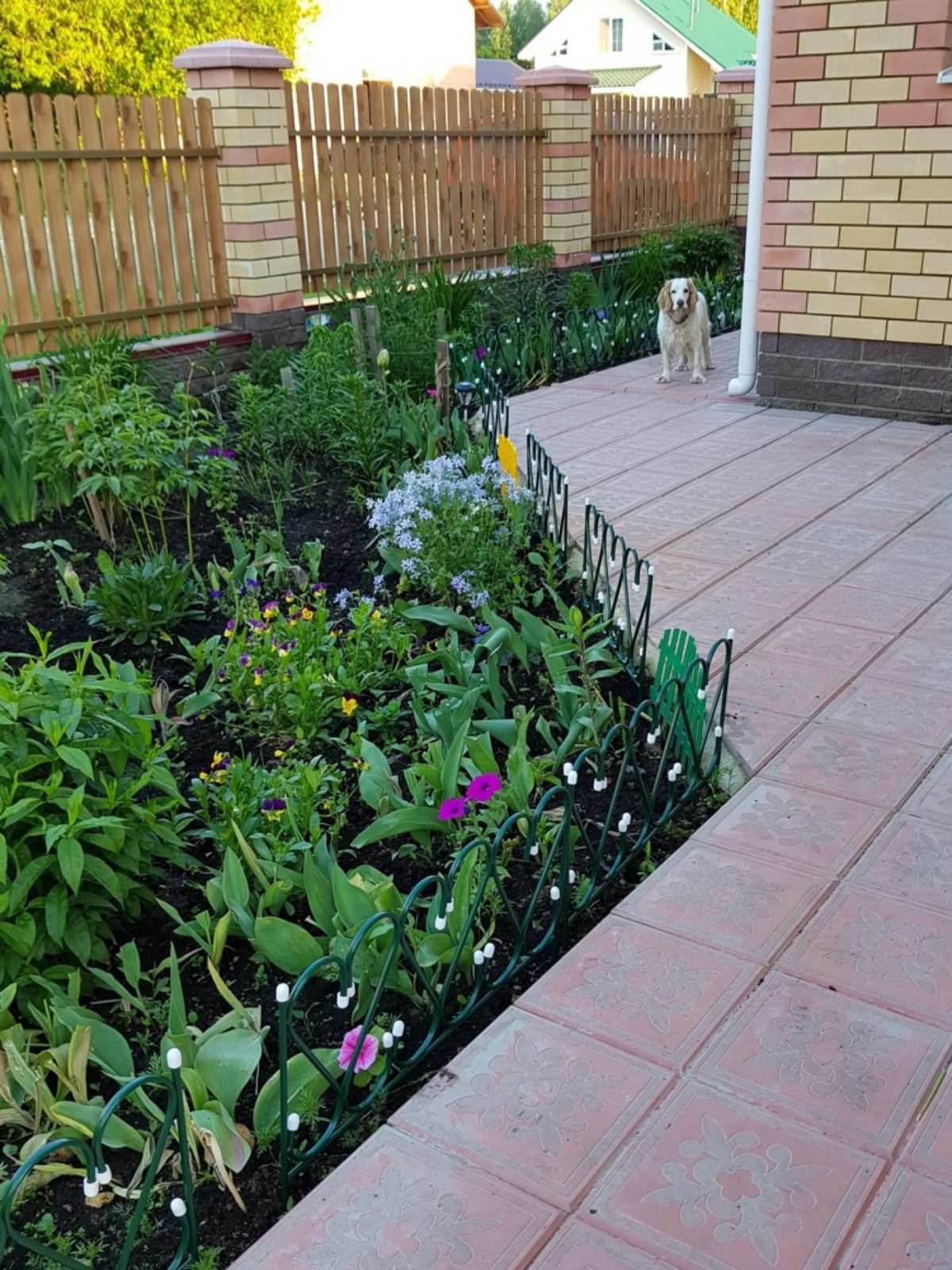 �������� ������������ "�������" ������� ���� �������� �� ������������ ����� � ���������� ��������..����� ��� ������� ������� ������ ��� �������� � �������� �������!