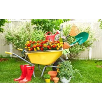 ���! ����� ������! �������� ��������� � ������� ������! ����� ���� � �������!