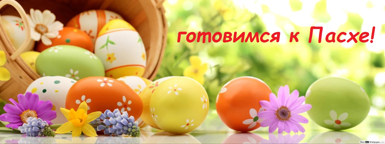 ���� �� 13.03. ������� ���������� ����! -2. �ӣ ��� ���������� � ������ �������� ���������: ������, �������� ���������, �����, �������� � ������ ��� ��� �� 8 ���!